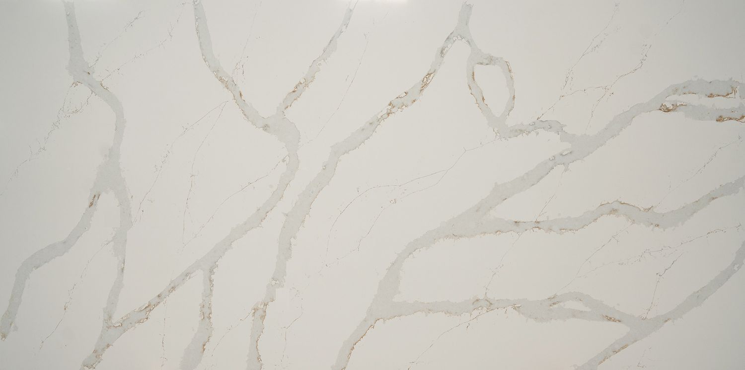 Calacatta Coloma — full slab