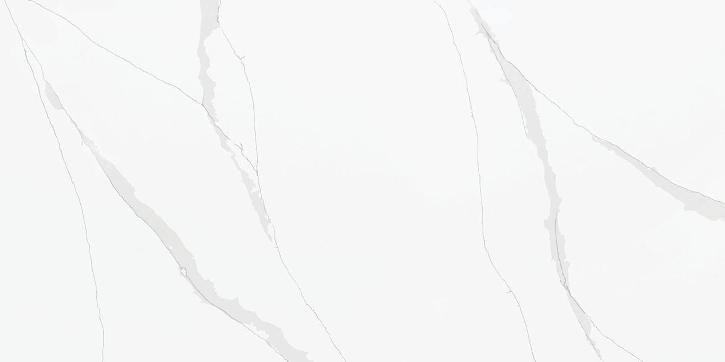 Calacatta Plata — full slab